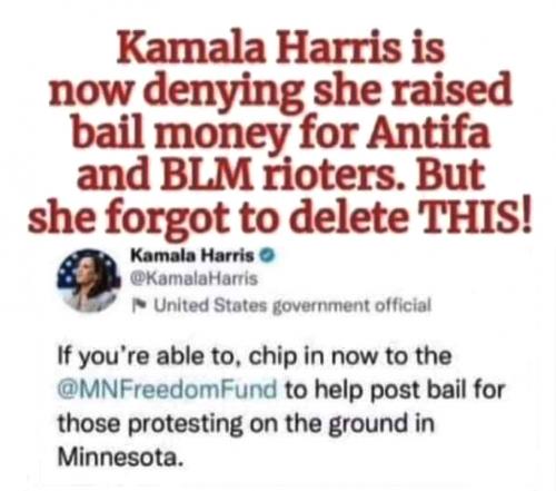 M Kamala