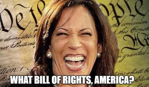 kamala gun rights