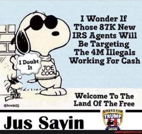 M targeting illegals
