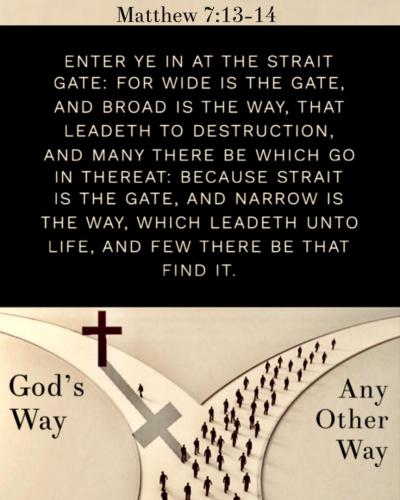 IMG_20231016_064236_293