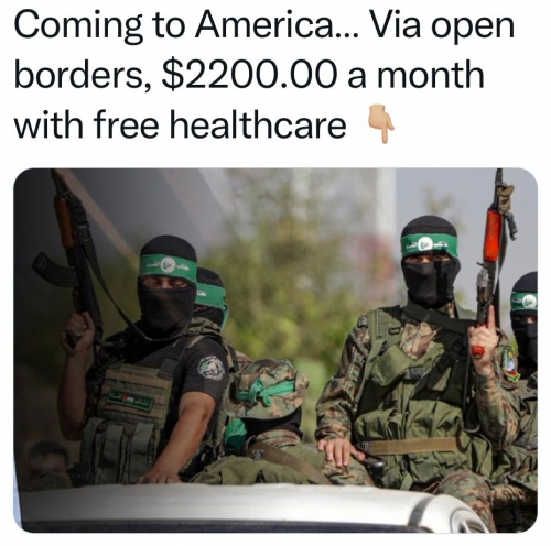 COMING TO AMERICA   TS