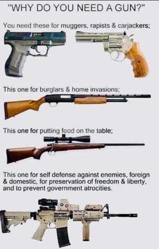 WHY YOU NEED A GUN    TS