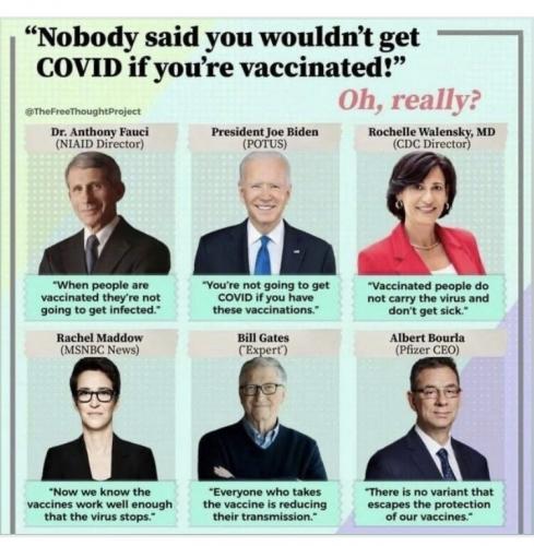 the vax proponents lie