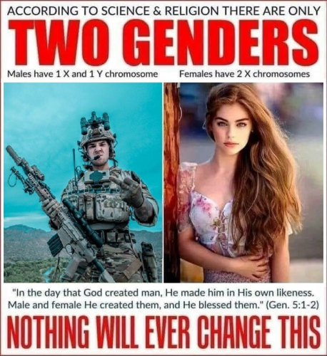 M 2 genders