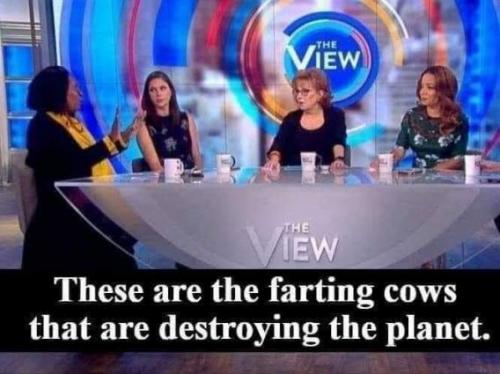 the-viw-farting-cows