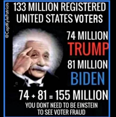 Voter Fraud