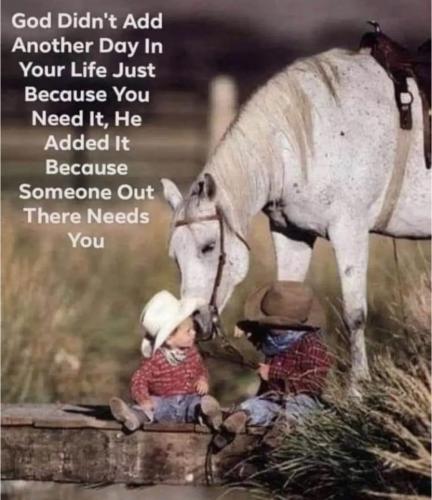 0aa75424d1c6feaff5428334f457616f