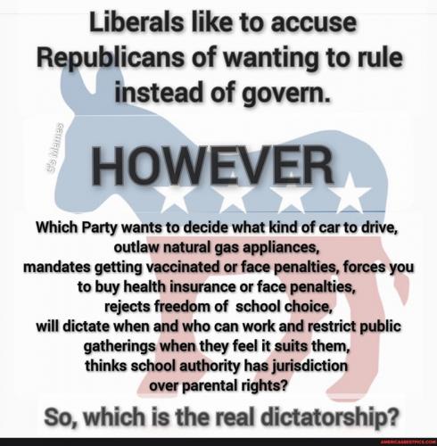 RO Liberals accuse