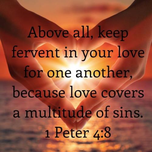 IMG_20231010_084923_999