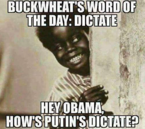 Screenshot_20231028-001144_Gallery