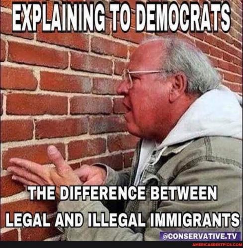 EXPLAINING TO DEMS   GETTR