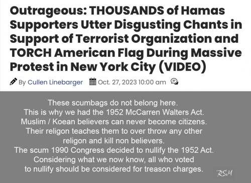 Hamas support