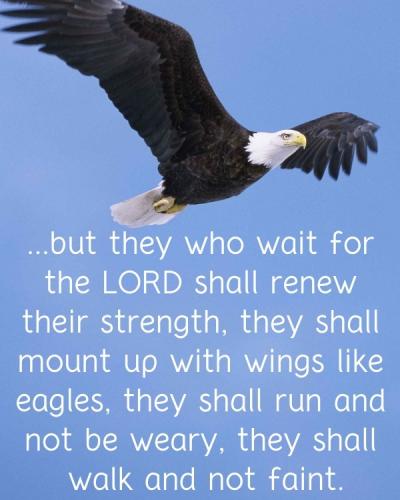 IMG_20231030_070009_481