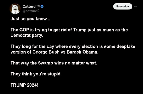 M the Swamp