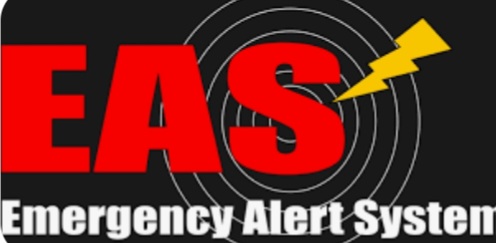 Screenshot_20231010-190340_Google