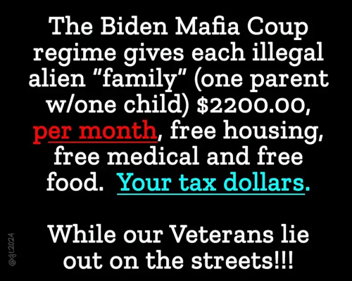 M Biden Mafia
