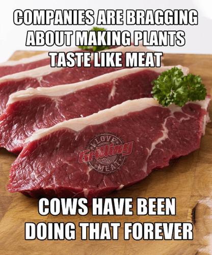 B tastes like meat