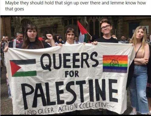Queersforpalestine