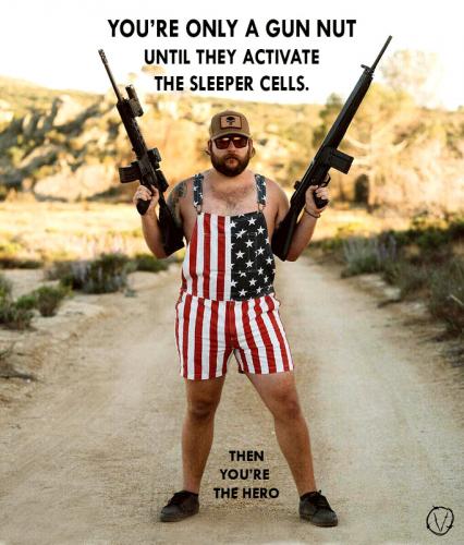 Gun Nut or Hero