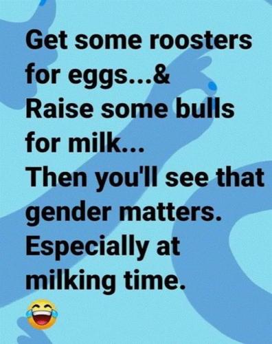 gender matters
