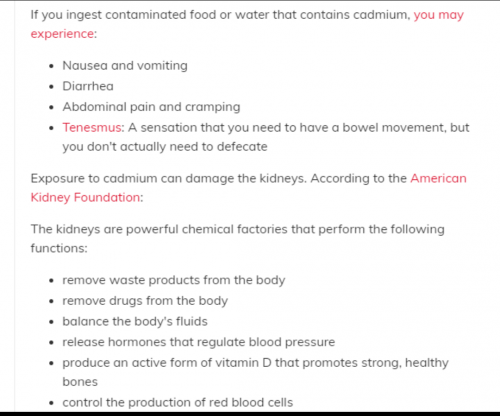 Screenshot_20231028-003804~2