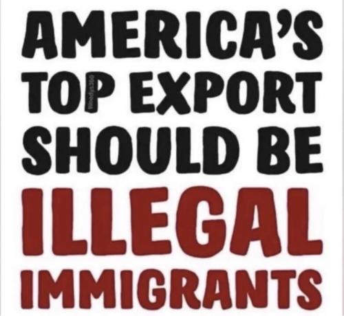 M top export