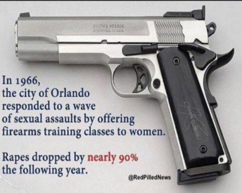 Orlando gun training