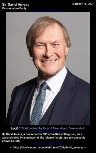 2021-david_amess-infocard