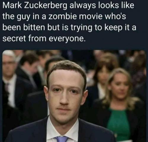 245424938_424339459096218_6110882667050249069_n