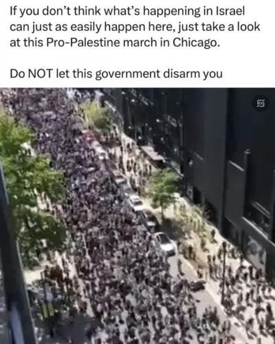 RO Pro-Palestine march Chicago