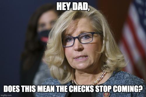 liz chaney war checks
