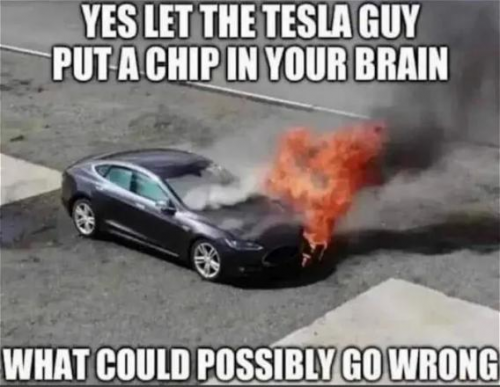 TESLA GUY    GAB