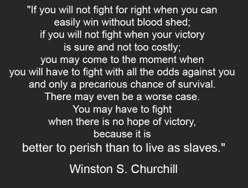 Churchill fight