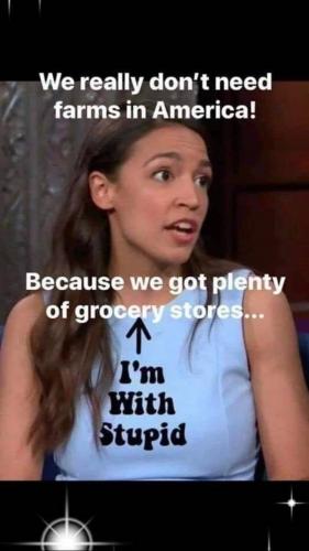 I'M WITH STUPID   GETTR