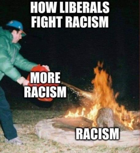 liberals fighting racism