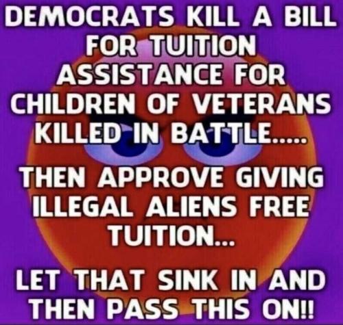 USA Dems kill bill