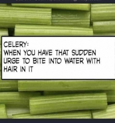 546256b4df9f5cd297c48b1471ccc219_1024