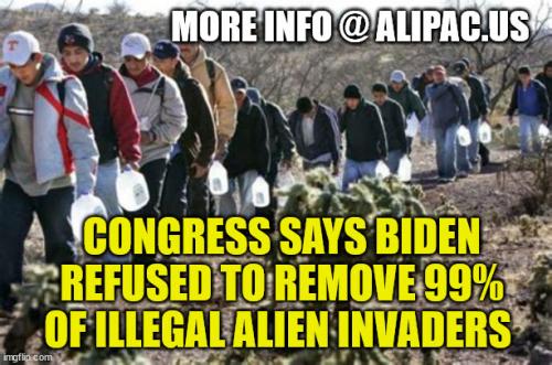 LiberalsAreTheProblemIllegalsPouringInOverTheSouthernBorderTerroristSleeperCells