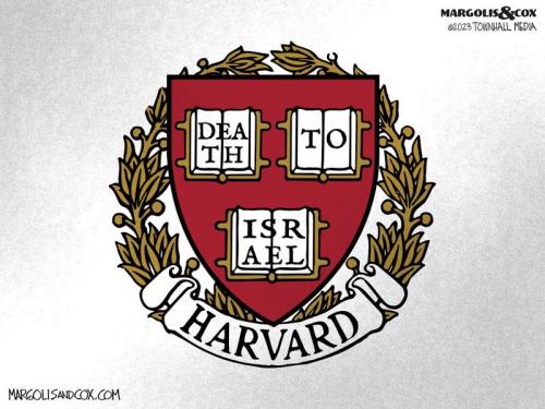 MC_Harvard_web-800x0