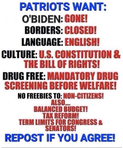 USA Patriots want