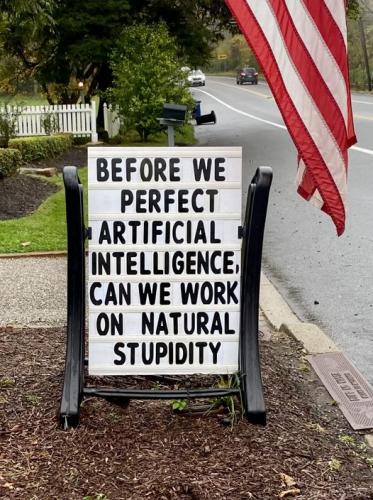 Before we perfect AI