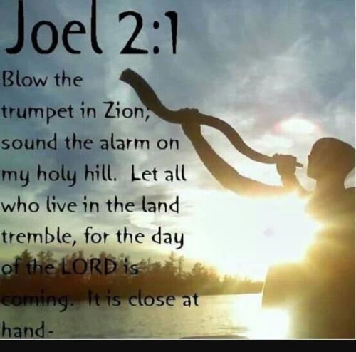 IMG_20231025_092844_859