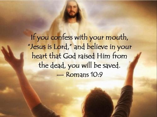 IMG_20231031_090701_448