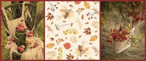 311406894_485876700256447_7586922083396062411_n