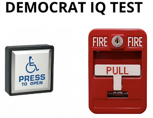 M Democrat IQ