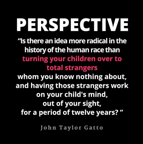 M perspective