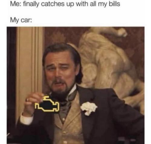 5d5b0e95fef11f26.jpeg