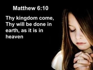 IMG_20231023_131011_545