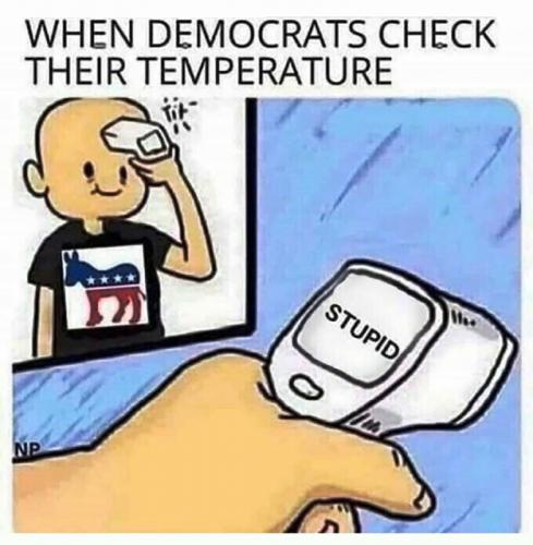 M Dems check temp