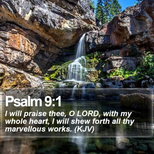 IMG_20231009_083124_900